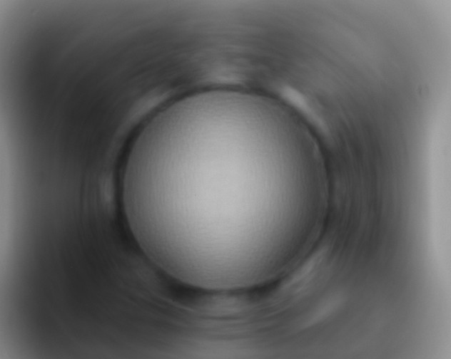 X0000092111307200709262152