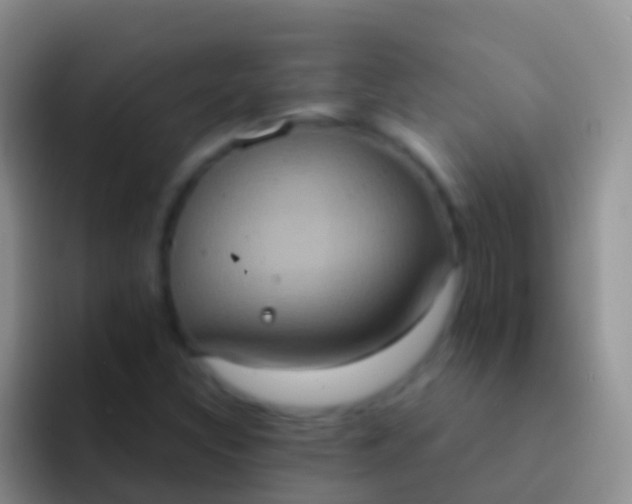 X0000092111308200709262152