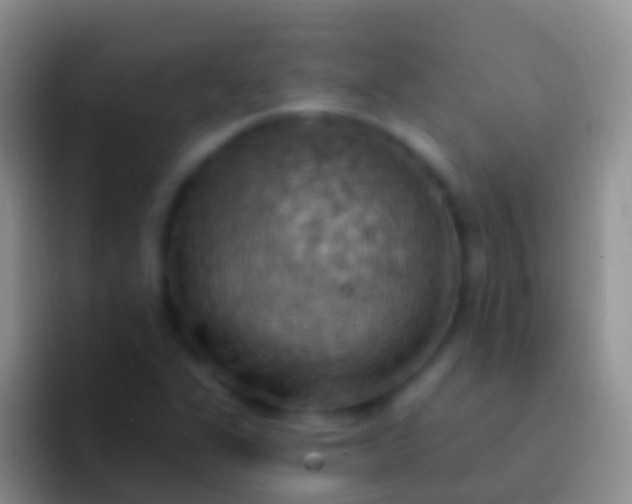 X0000092111311200709262152