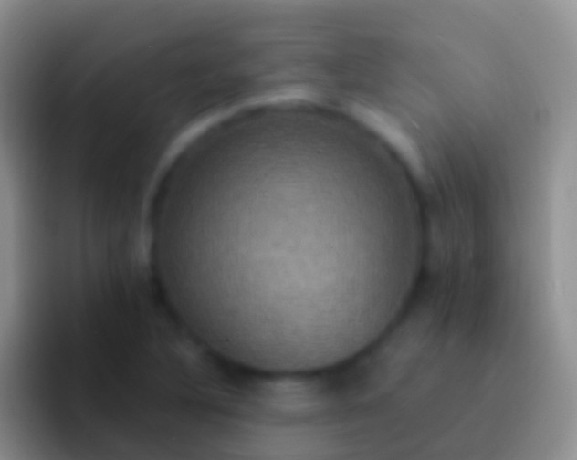 X0000092111316200709262152