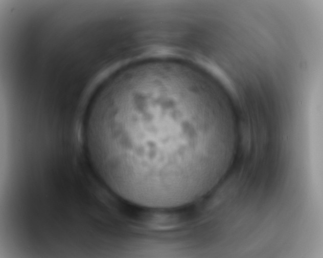 X0000092111318200709262152