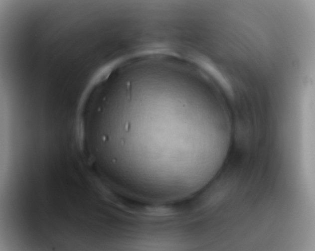 X0000092111320200709262152