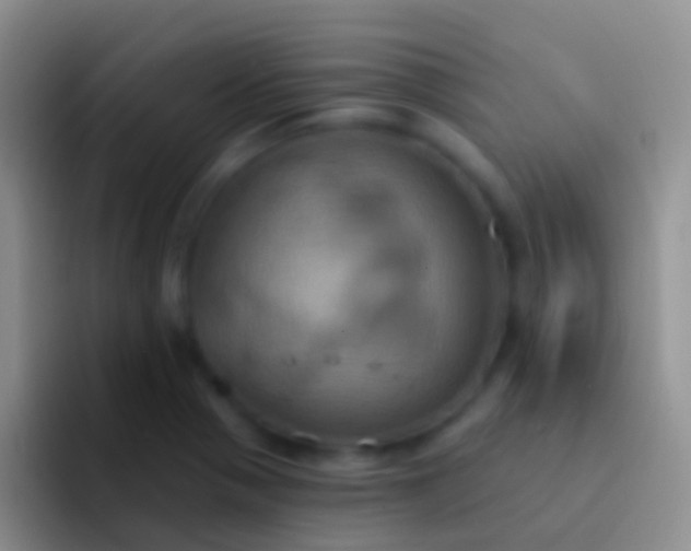 X0000092111321200709262152