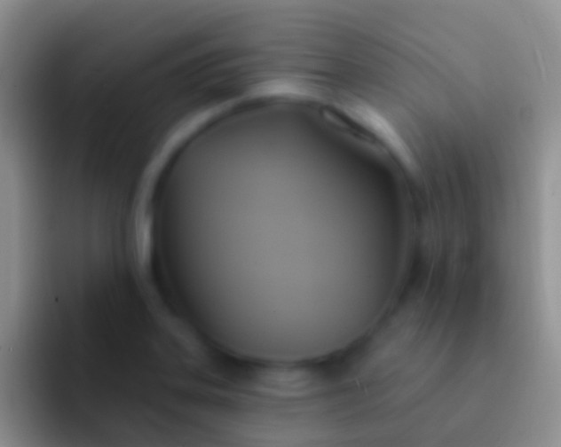 X0000092111323200709262152