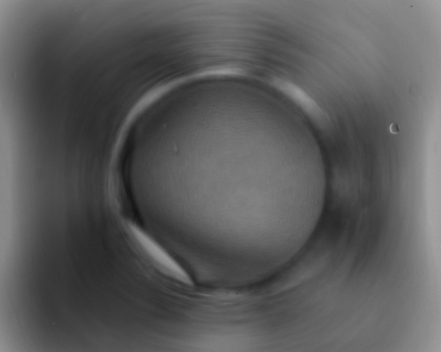 X0000092111324200709262152