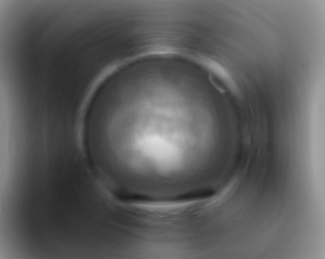 X0000092111326200709262152