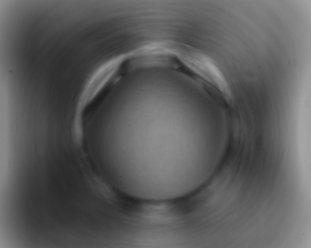 X0000092111328200709262152