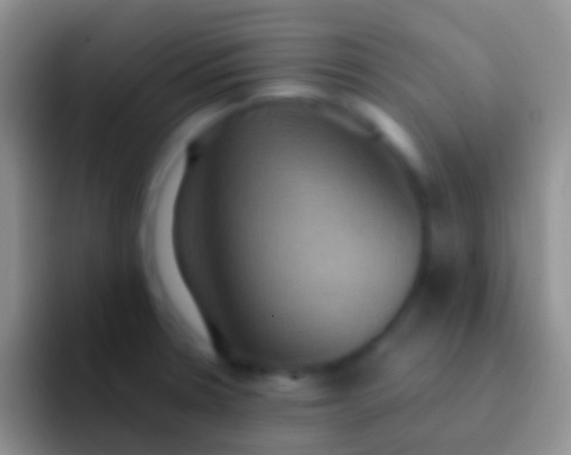 X0000092111330200709262152