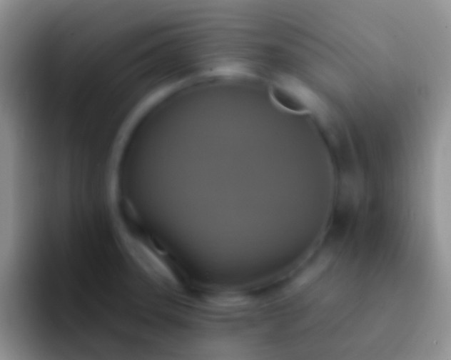 X0000092111331200709262152