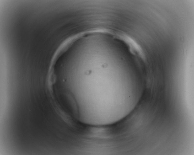 X0000092111332200709262152