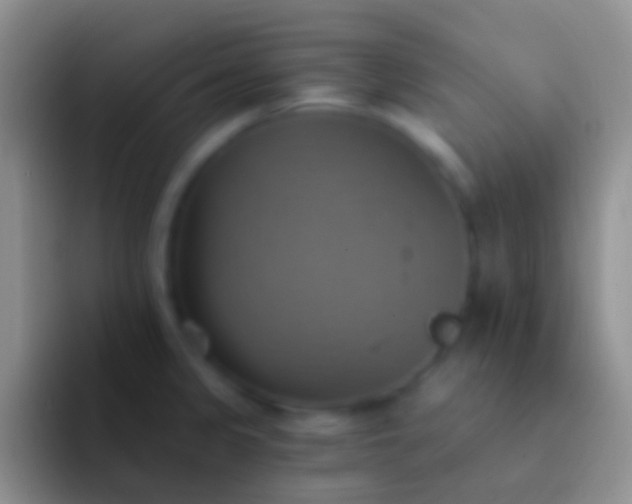 X0000092111333200709262152