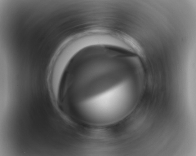 X0000092111334200709262152