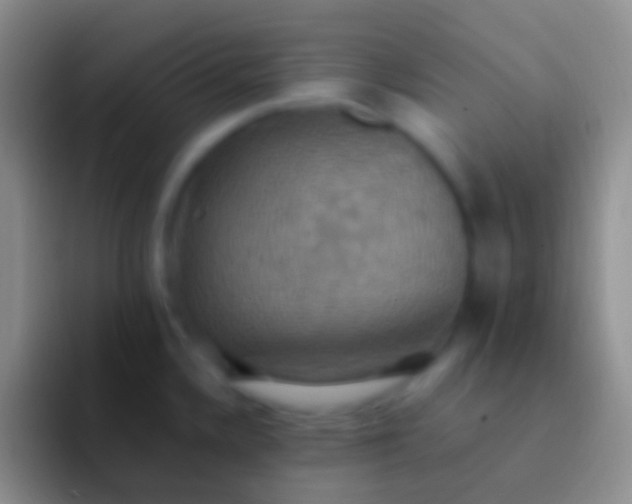 X0000092111336200709262152