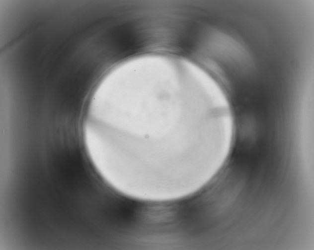 X0000092111338200709262152