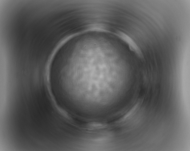 X0000092111339200709262152