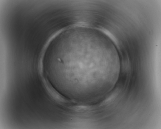 X0000092111341200709262152