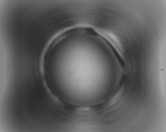 X0000092111342200709262152