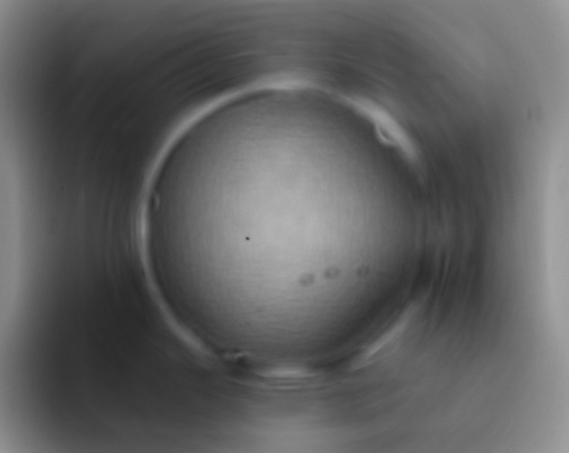 X0000092111343200709262152