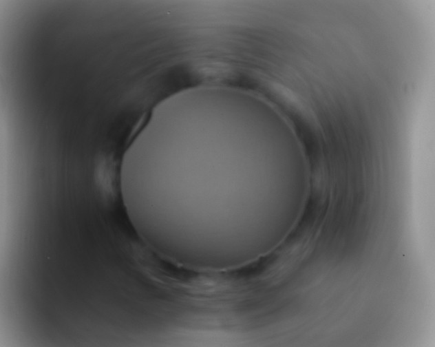 X0000092111346200709262152