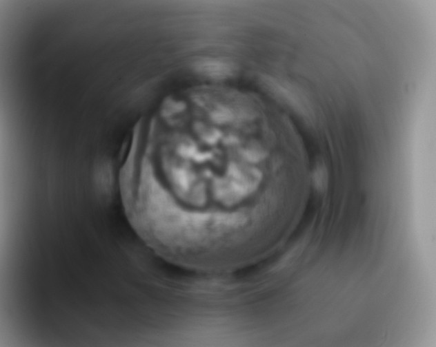 X0000092111347200709262152