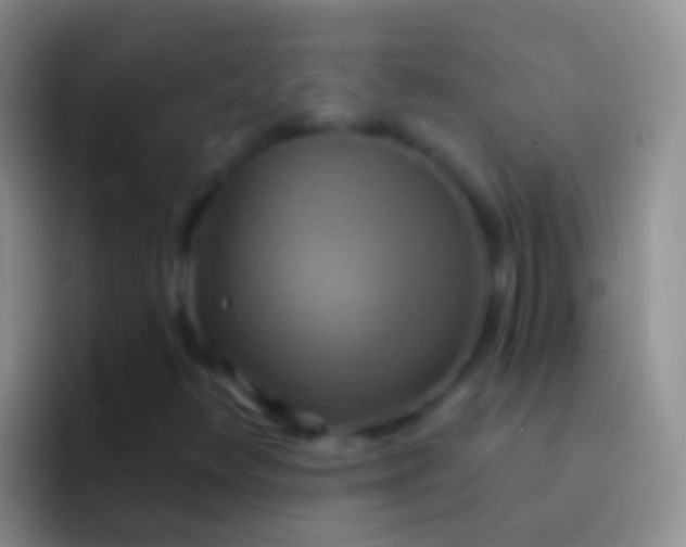 X0000092111348200709262152