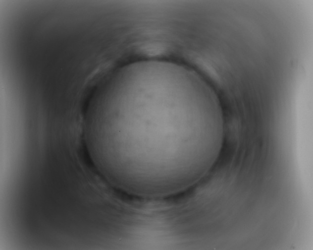 X0000092111349200709262152