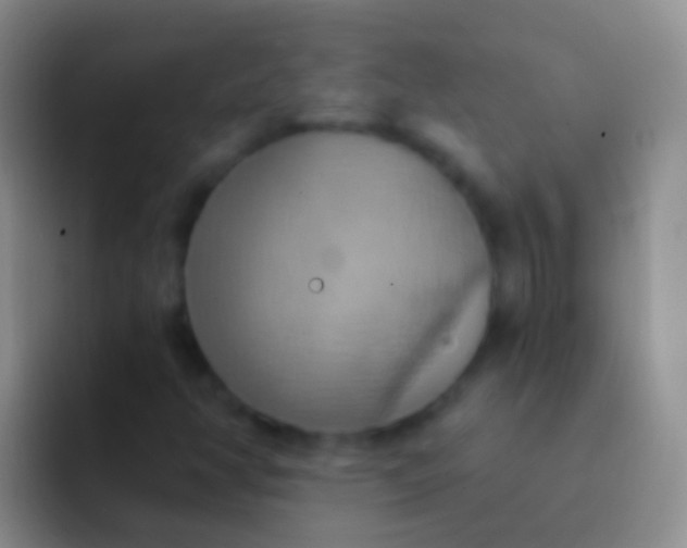 X0000092111350200709262152