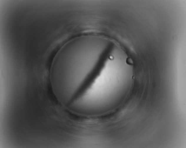 X0000092111351200709262151