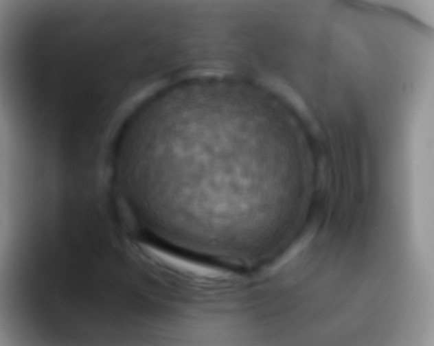 X0000092111352200709262151