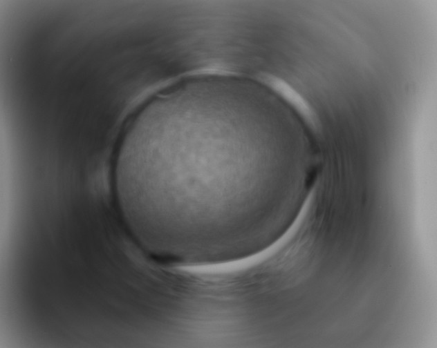 X0000092111356200709262151