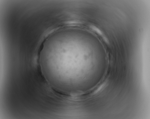 X0000092111357200709262151