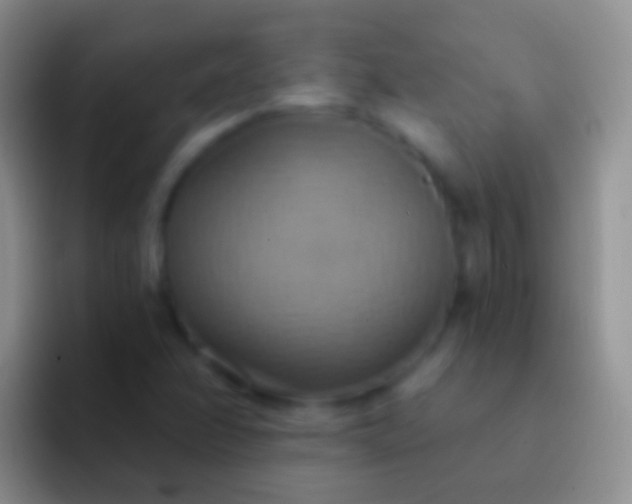 X0000092111358200709262151