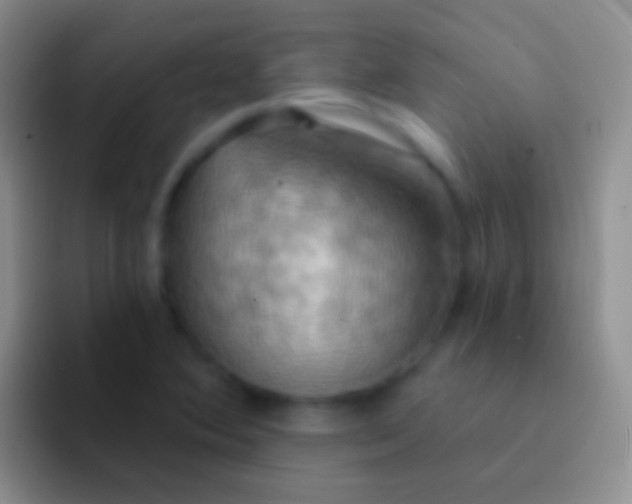 X0000092111364200709262151