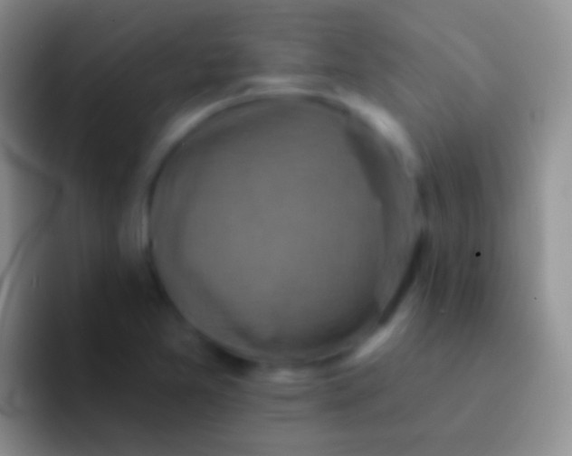 X0000092111365200709262151