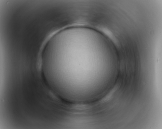 X0000092111366200709262151