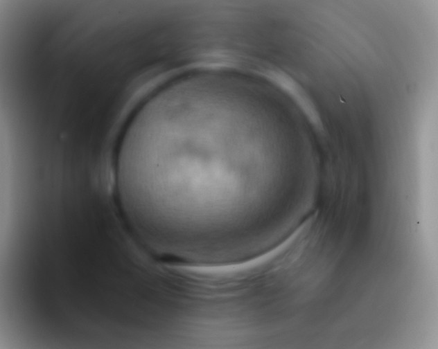 X0000092111368200709262151