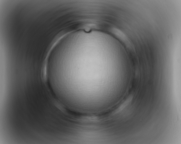 X0000092111370200709262151