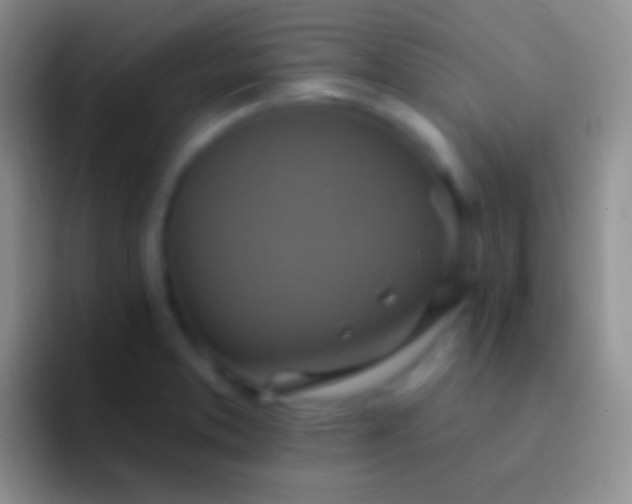 X0000092111373200709262151