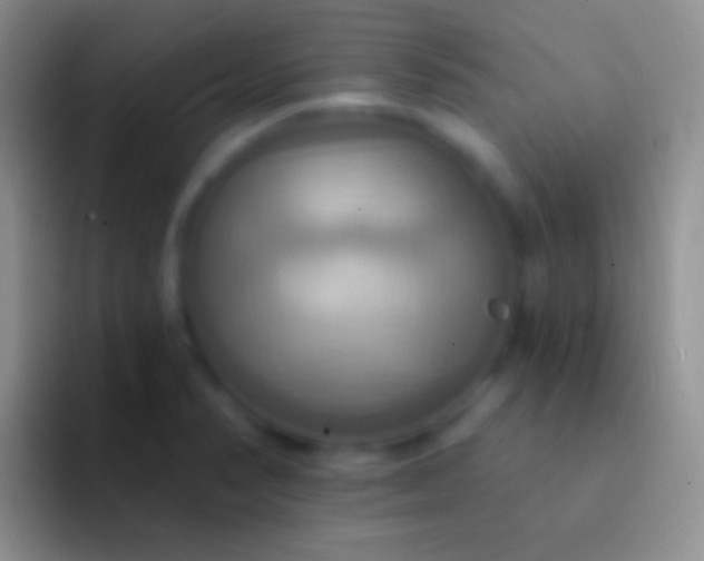 X0000092111374200709262151