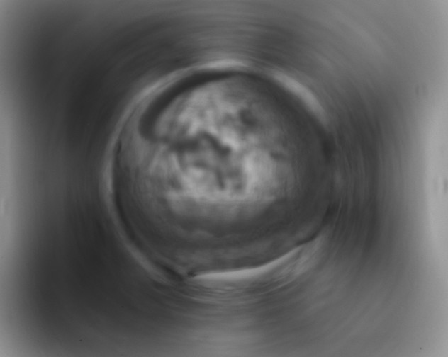 X0000092111375200709262151