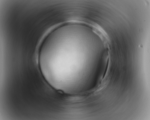 X0000092111376200709262151