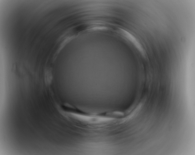 X0000092111377200709262151