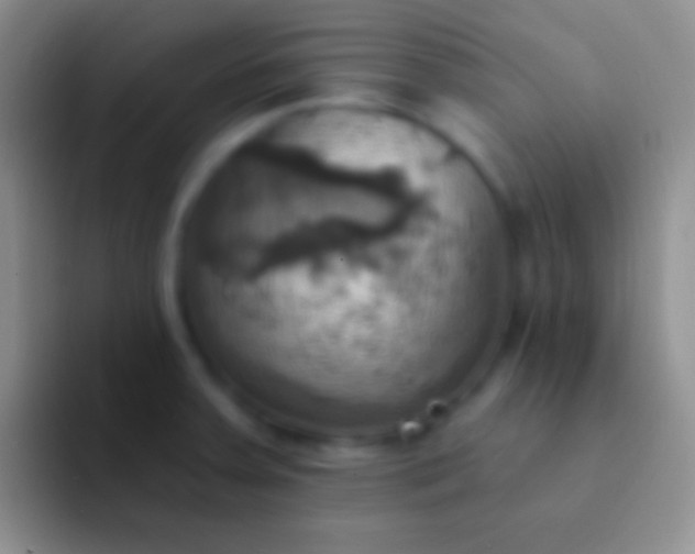 X0000092111379200709262151