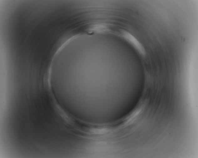 X0000092111386200709262151