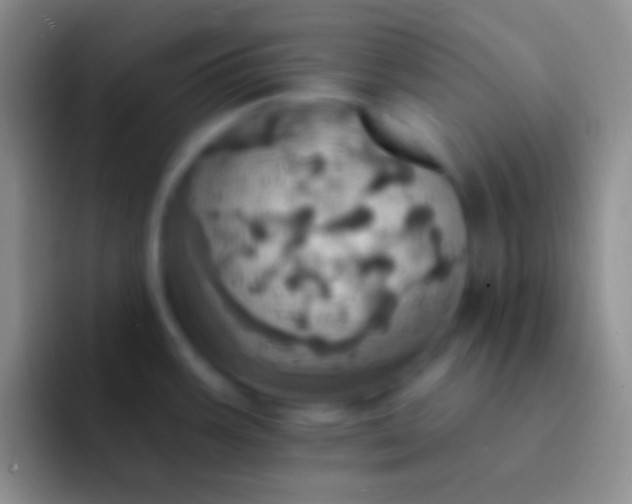 X0000092111387200709262151