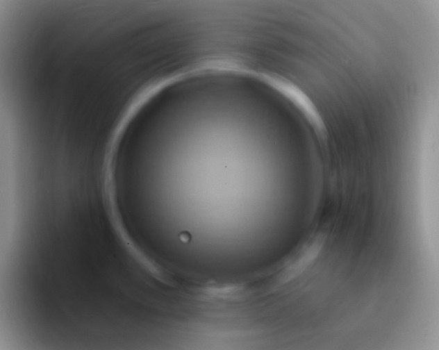 X0000092111389200709262151