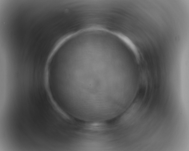 X0000092111390200709262151