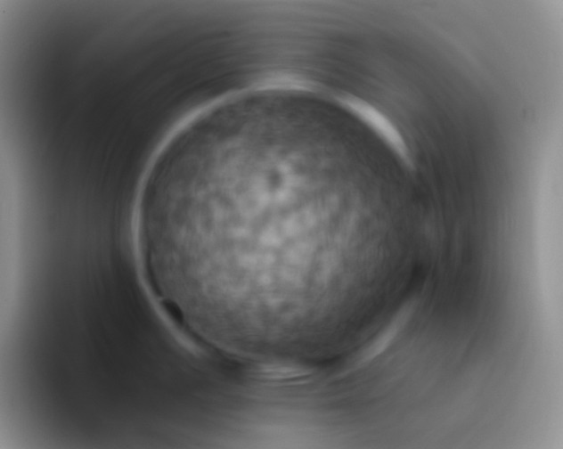 X0000092111391200709262151