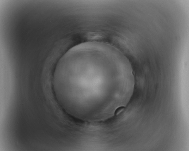 X0000092111393200709262150