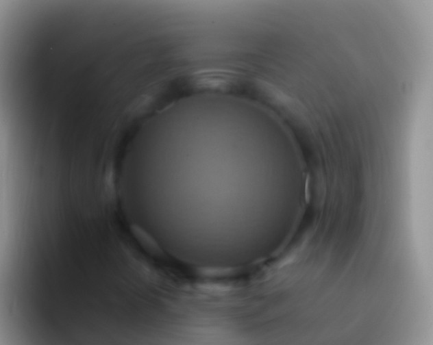 X0000092111394200709262150